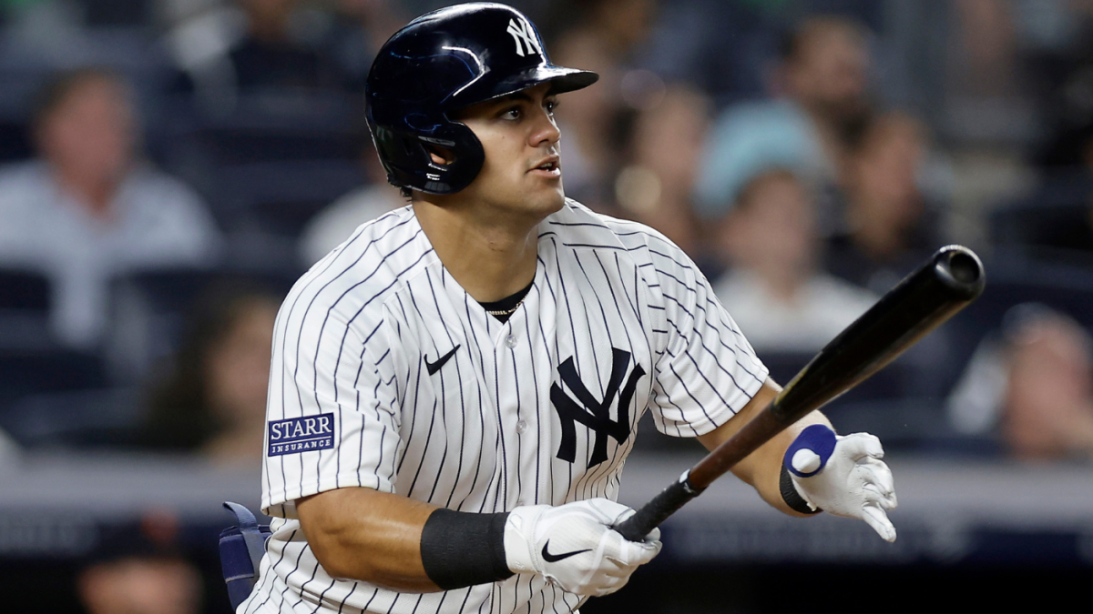 Yankees' Jasson Domínguez hasn't scheduled surgery yet – New York