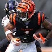 Cincinnati Bengals News, Scores, Status, Schedule - NFL 