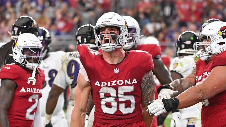 Baltimore Ravens v Arizona Cardinals