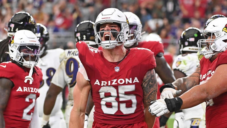 Baltimore Ravens v Arizona Cardinals