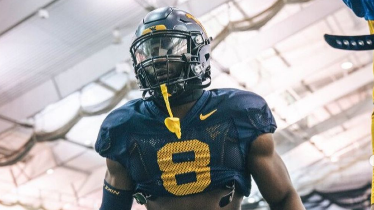 How many NFL players are on this WVU roster?