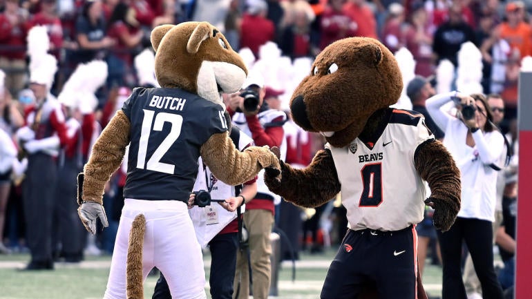 NCAA Football: Oregon State at Washington State