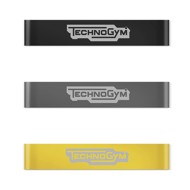 Technogym loop bands