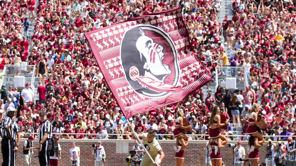 FSU, Florida State Logo Brands Bleacher Cushion