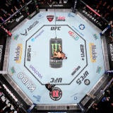 ufc-octagon-generic.jpg