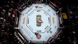 ufc-octagon-generic.jpg