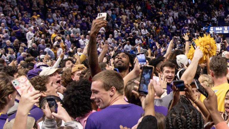 lsu-1.jpg