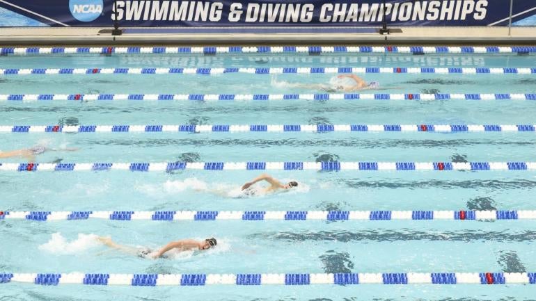 ncaa-swimming-getty.jpg