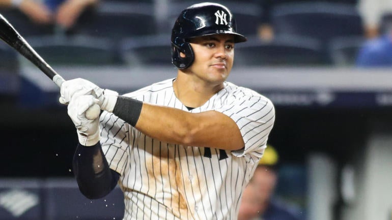 jasson-dominguez.jpg
