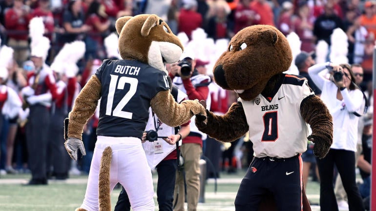 NCAA Football: Oregon State at Washington State