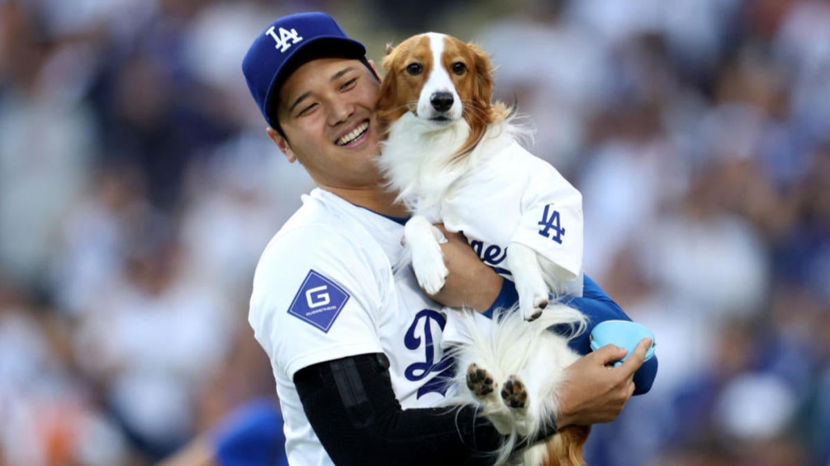 WATCH: Shohei Ohtani's Dog, Decoy, Delivers First Pitch Prior To ...