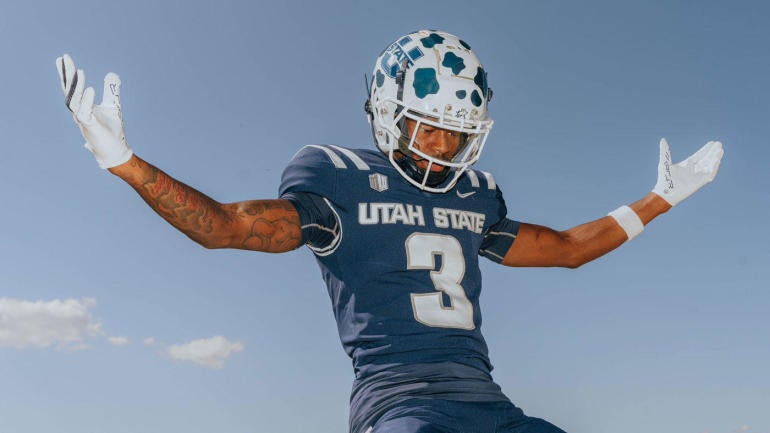 utah-state-cow-helmet.jpg