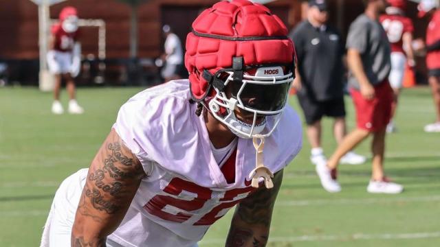 Razorback offense impressive in win over UAPB