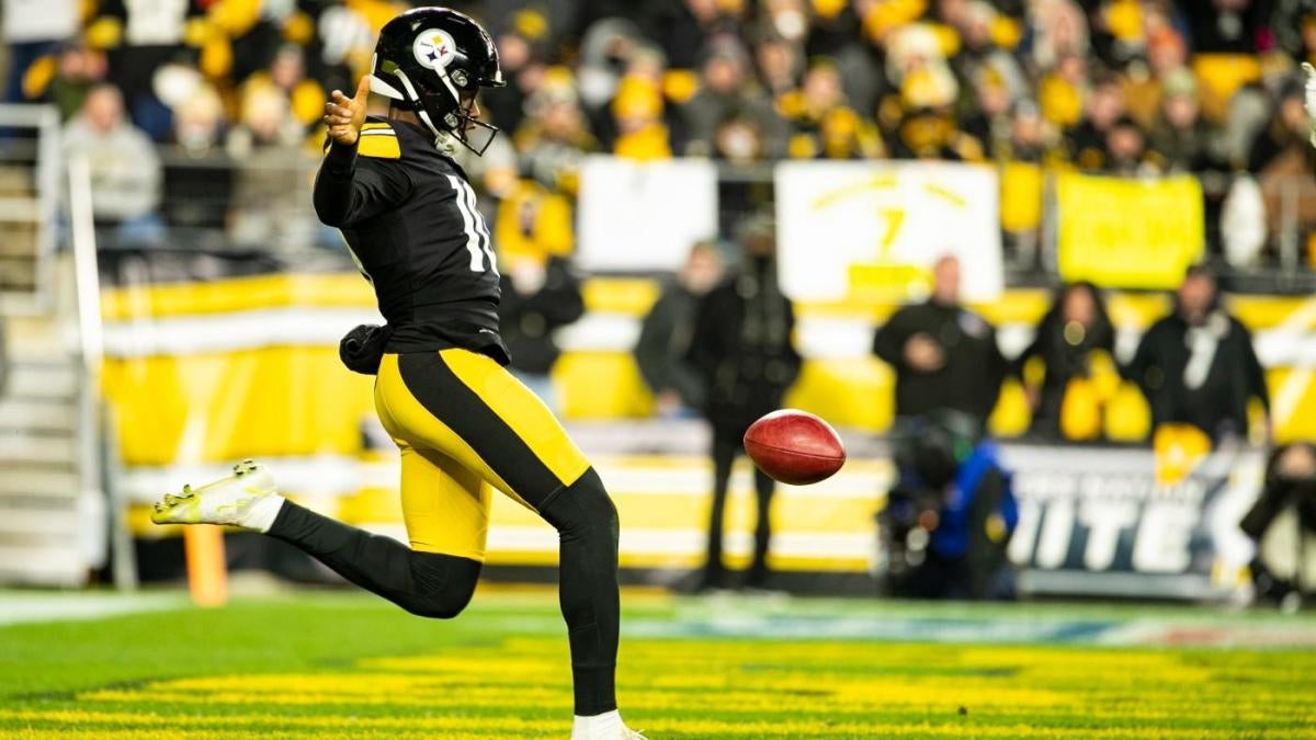 Steelers sign a new punter following Cameron Johnston's season-ending knee injury Steelers sign a new punter following Cameron Johnston's season-ending knee injury