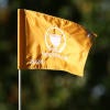presidents-cup-flag-2024-g.jpg