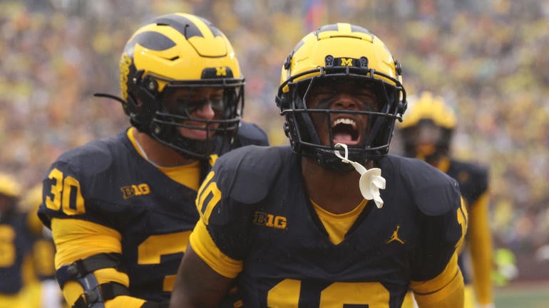 Minnesota v Michigan