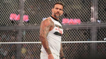 cm-punk-cage.jpg