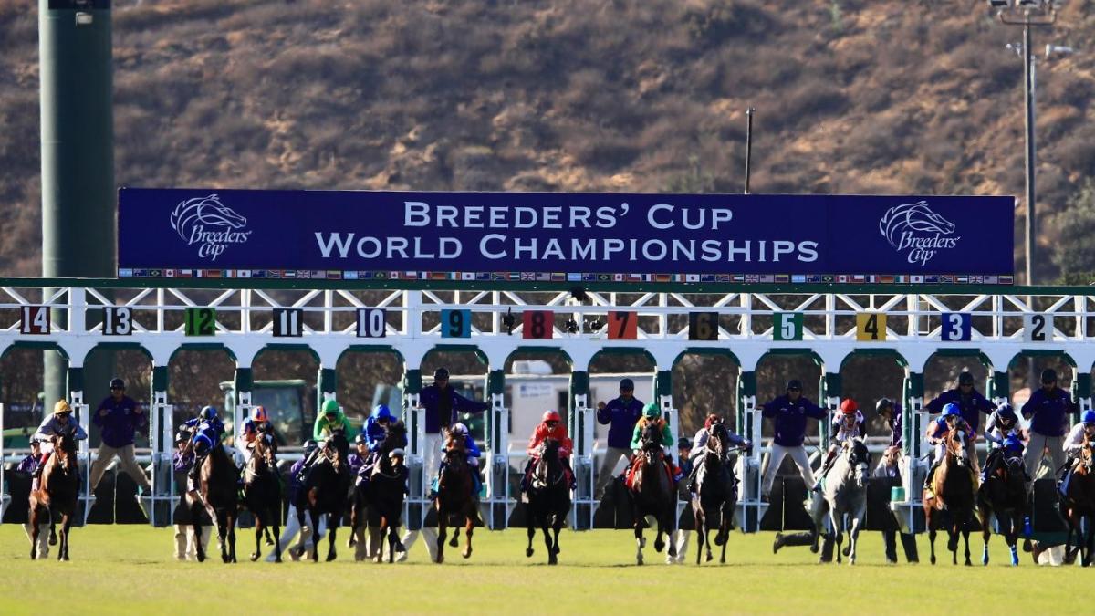 Where to watch 2024 Breeders' Cup Start time, odds, live stream