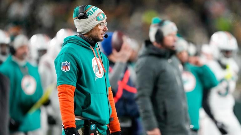 dolphins-cold-getty.jpg