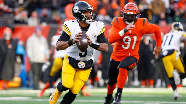 NFL: DEC 01 Steelers at Bengals