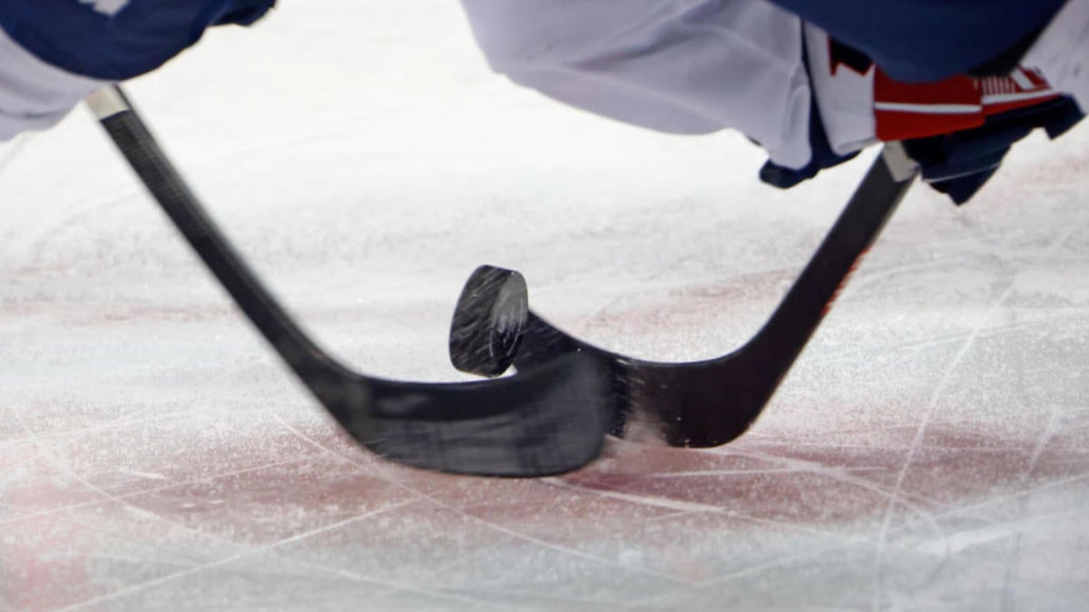 WATCH: Line brawl breaks out during Teddy Bear Toss in Ontario Hockey League game