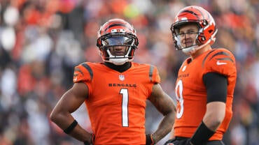 NFL: NOV 28 Steelers at Bengals