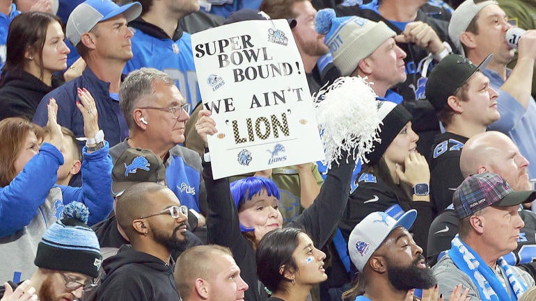 lions-fans-g.jpg
