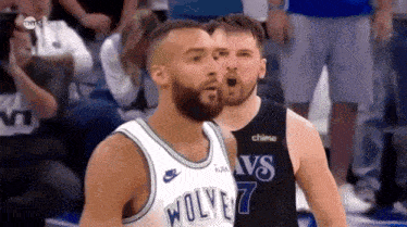 luka-gobert.gif