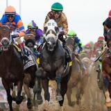horse-racing-usatsi-generic.jpg