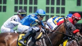 2025 Kentucky Derby horses, odds, futures, date, preview: Expert who nailed 11 Derby-Oaks Doubles shares picks