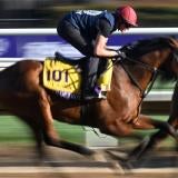 horse-preakness-imagn-1.jpg