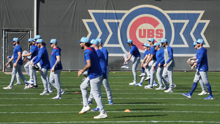 cubs-usatsi.png