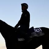 horse-racing-usatsi-generic.jpg