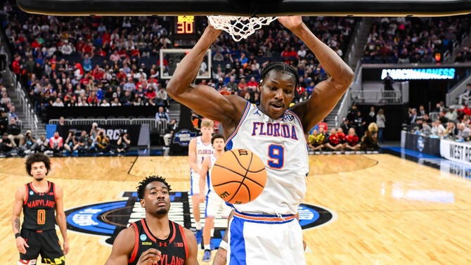 gators.jpg