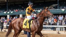 Preakness Stakes 2025 predictions, odds: Best win, place, show, exacta, trifecta, and superfecta expert picks