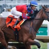 horse-racing-usatsi-generic.jpg