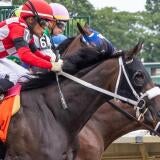 horse-racing-usatsi-generic.jpg