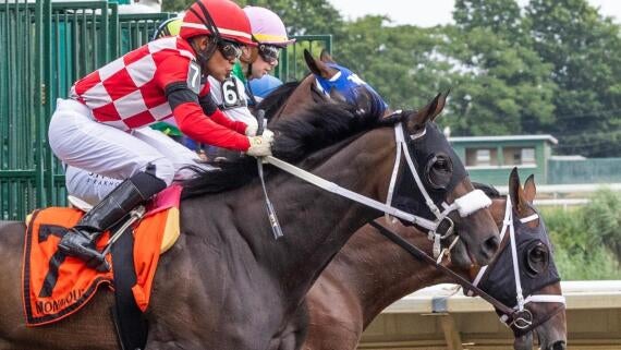 horse-racing-usatsi-imagn-3.jpg
