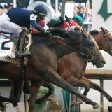 horse-racing-usatsi-generic.jpg
