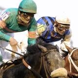 horse-racing-usatsi-generic.jpg