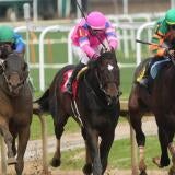 horse-racing-usatsi-generic.jpg