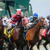 horse-preakness-imagn-1.jpg