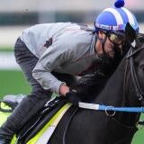 horse-racing-usatsi-generic.jpg