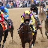 Pegasus Cup at Gulfstream Park