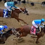 horse-racing-usatsi-generic.jpg