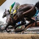 horse-racing-churchill-downs-usatsi-2.jpg