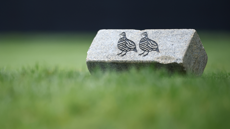 quail-hollow-tee-box-pga-g.png