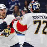 reinhart-bobrovsky.jpg