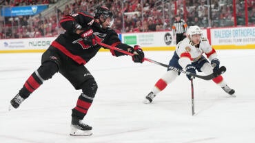 reinhart-bobrovsky.jpg