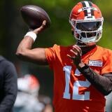 rosen.jpg